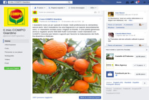 Compo Italia su facebook