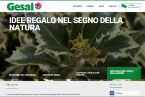 Gesal online
