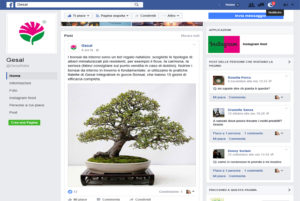 Gesal su facebook