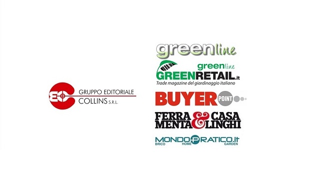 COLLINS GRUPPO EDITORIALE