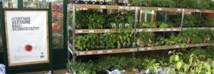 non accettate verdure dagli sconosciuti