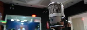 PROMOGIARDINAGGIO HA PARLATO DI BONUS VERDE CON RAI RADIO 1