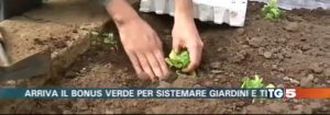 PROMOGIARDINAGGIO PROMUOVE IL BONUS VERDE