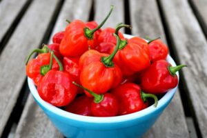 coltivare i Peperoncini - Habanero