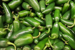 coltivare i Peperoncini - Jalapeno
