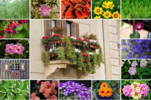 balcone fiorito in estate