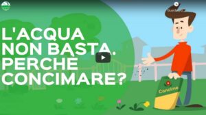 concimare le piante