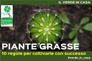 coltivare le piante grasse