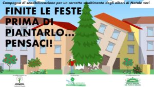 corretto smaltimento degli Alberi di Natale veri
