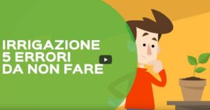 Irrigare le piante in vaso