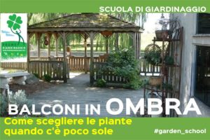Piante per un balcone in ombra