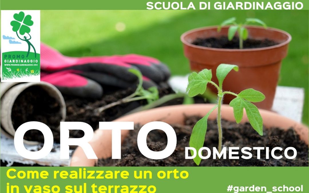 Come realizzare un orto in vaso sul terrazzo