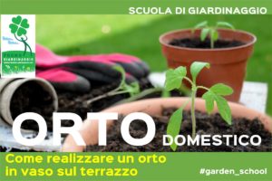 realizzare un orto in vaso