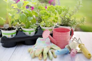aromatiche sul terrazzo