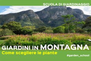 Piante per un giardino in montagna