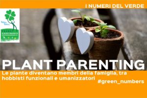 plant parenting