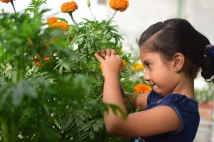 Insegnare giardinaggio ai bambini