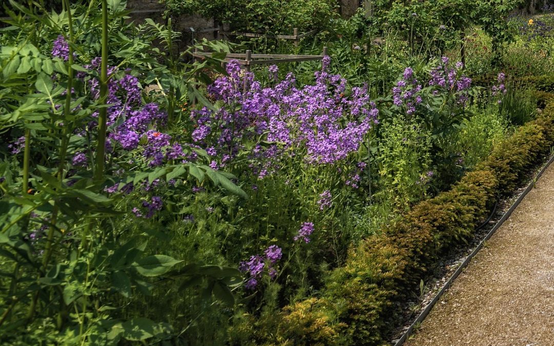 Coltivare le aromatiche in giardino: un angolo dedicato ai profumi