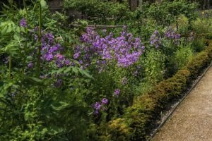 coltivare le aromatiche in giardino