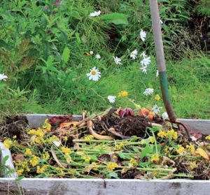 compost in giardino