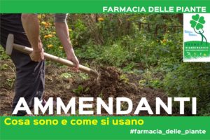 usare gli ammendanti