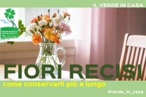 conservare i fiori recisi