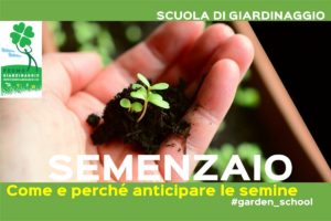 seminare un orto in un semenzaio