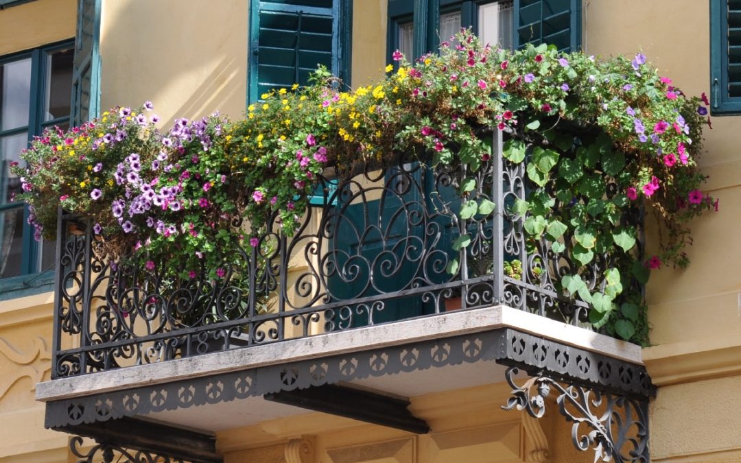 10 piante per un balcone fiorito in primavera