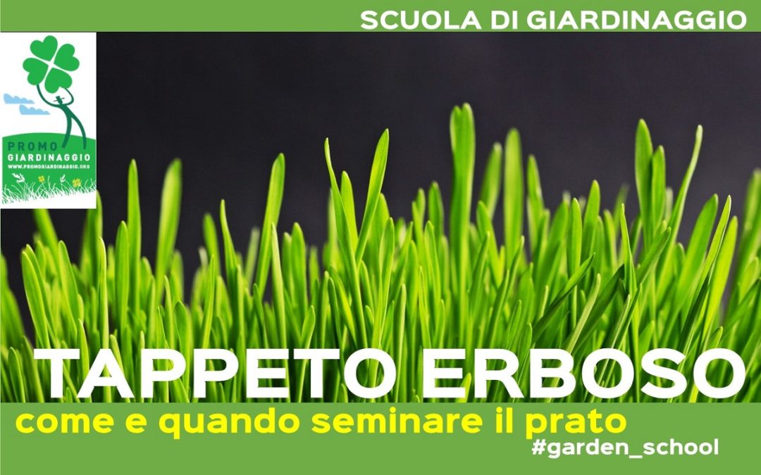 seminare il prato