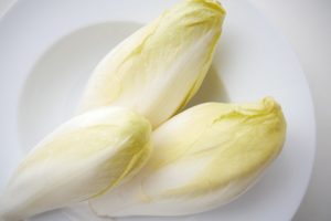 Coltivare la Cicoria - Cicoria Witloof