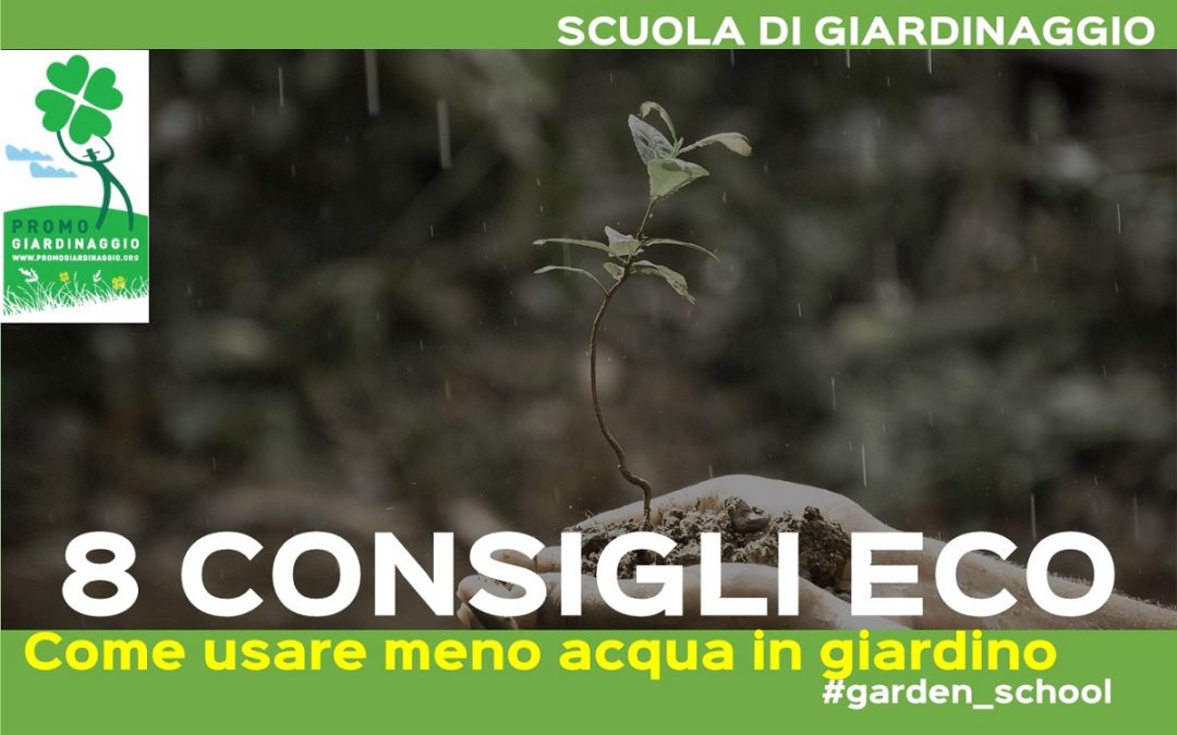 8 consigli utili per ridurre i consumi di acqua in giardino