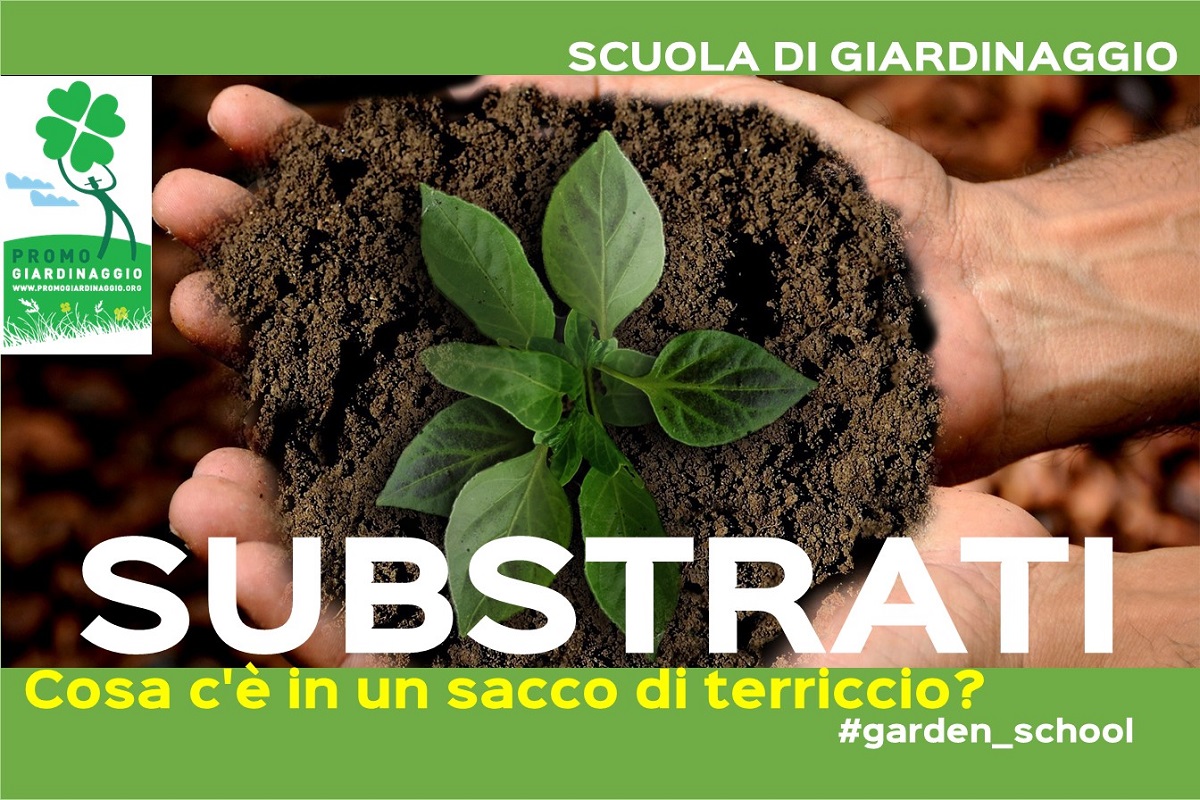 Corteccia per giardinaggio, informazioni e consigli