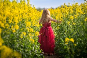 Piante con i fiori gialli