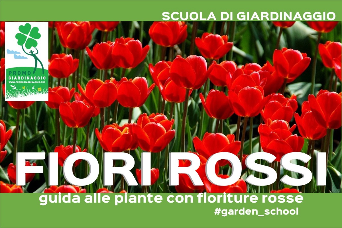Mini Tote Bag Red | Women's Bags | Cuoieria Fiorentina Europe