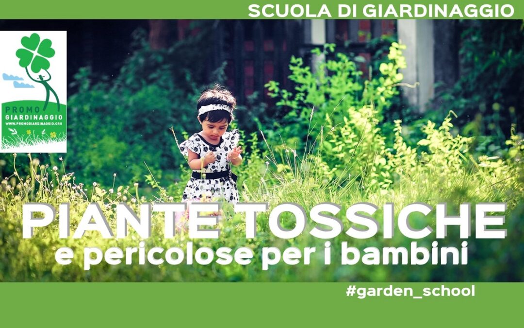 Piante pericolose per i bambini: le varietà tossiche e nocive da evitare