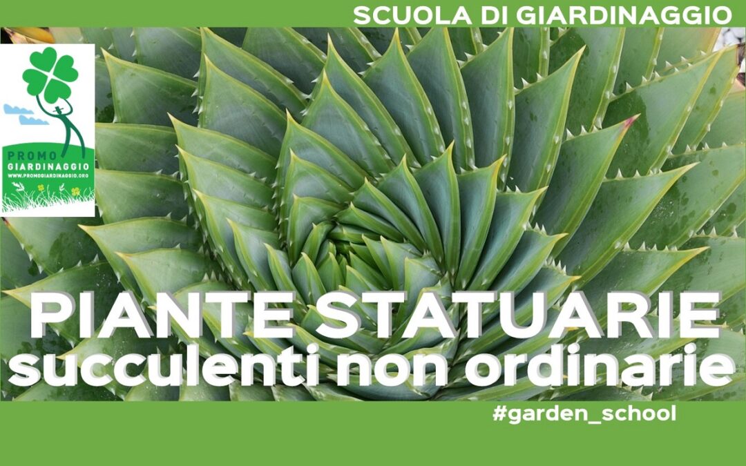 Piante statuarie: cactacee e succulente non ordinarie