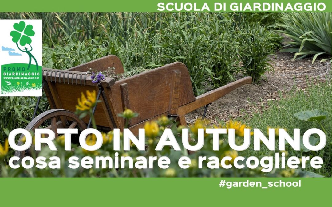 orto in autunno