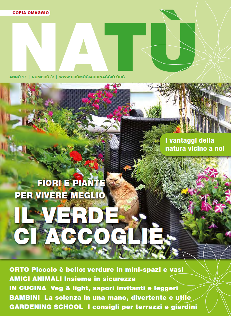 natu 2024