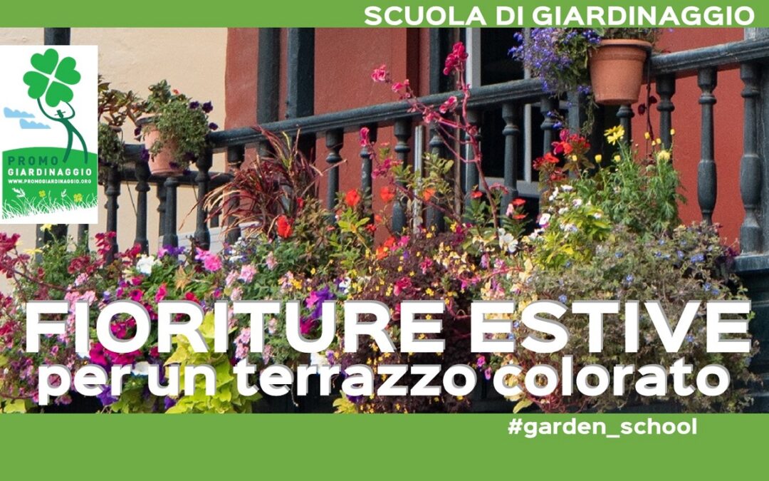Fioriture estive per il terrazzo
