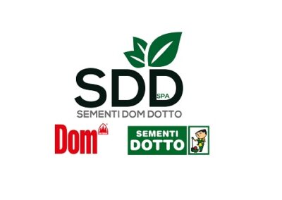 SDD