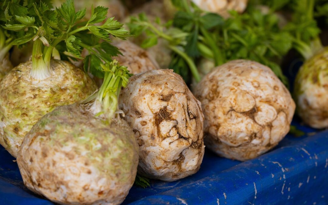 coltivare il sedano rapa