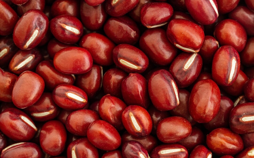 Come coltivare i Fagioli Azuki nell’orto