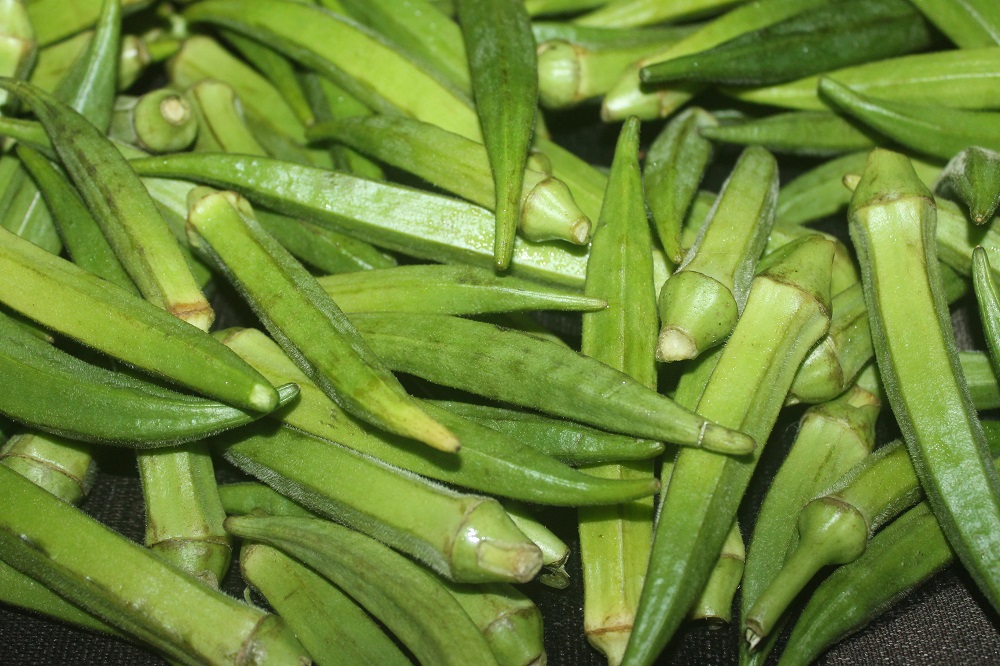 coltivare la Okra